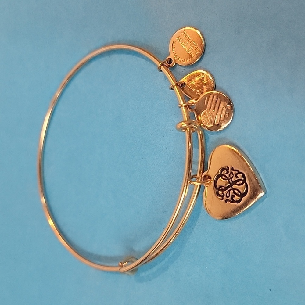 Alex and Ani Path Of Life 2015 Bangle Bracelet